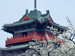 -开封府