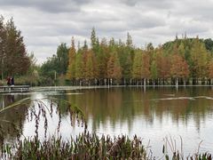 -白鹭湾湿地公园