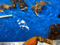 -盒马鲜生(杭州运河上街店)