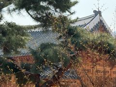 -景福宫