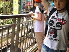 -圣淘沙天际线斜坡滑车