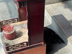 -新加坡佛牙寺龙华院