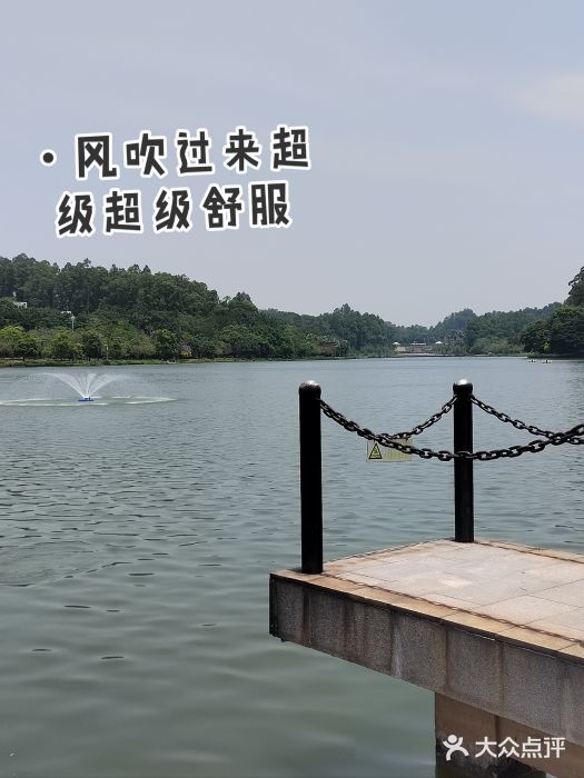 南国桃园旅游度假区图片