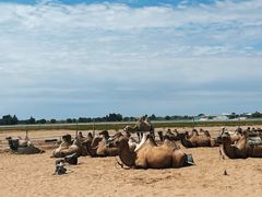 -亿利库布其七星湖沙漠生态旅游区