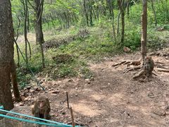 -南京金牛湖风景区