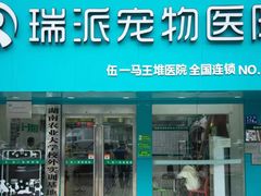-瑞派伍一宠物医院·眼科·骨科·猫科转诊中心(马王堆院)
