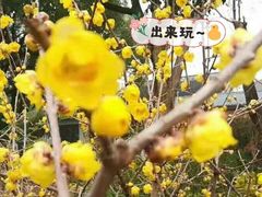 -无锡梅园公园