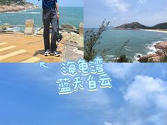 -广东惠东海龟国家级自然保护区