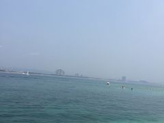 -小海豚国际游泳培训中心(浦东源深体育中心店)