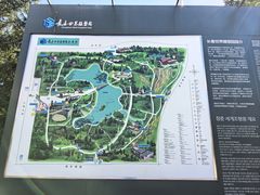 -长春世界雕塑园冰雪艺术天地