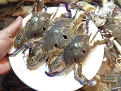 -领鲜活海鲜榴莲自助火锅(东门店)