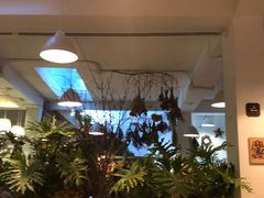 -VOYAGE COFFEE(北锣鼓巷店)