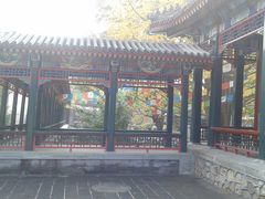 -紫竹院公园冰场