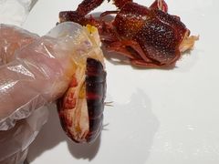 -洪福龙虾