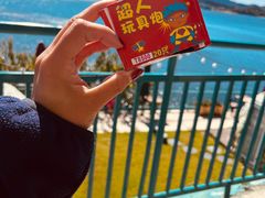 -望湖烤鱼