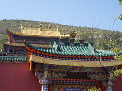-塔尔寺游客服务中心