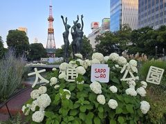 -大通公园