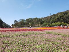 -广州市石门国家森林公园