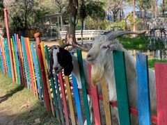 -广东花都香草世界旅游度假区