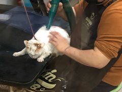 -酷狗靓猫宠物·洗护·美容·寄养(航北路店)