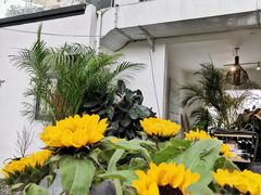 -云里小坐·小院里·团建·宴请·下午茶(三圣乡店)