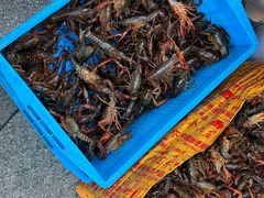 -阿甘龙虾·重庆麻麻鱼(中豪店)