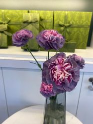 -章光101防脱养发荟