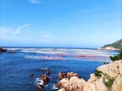 -枸杞岛