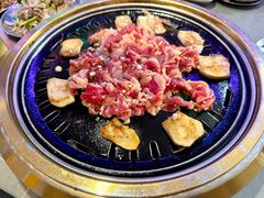 -杨小佳·齐齐哈尔烤肉·烤串(广州店)