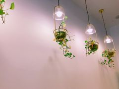 -ICEPOPO MILK(玉兰店)