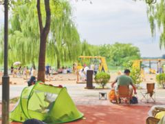 -大兴滨河森林公园