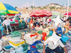 -青岛沙子口国家中心渔港