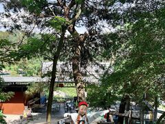-芦仙山景区-飞越丛林探险乐园