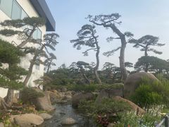 -罗红摄影艺术馆