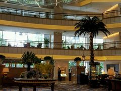 -上海大酒店(南京东路店)