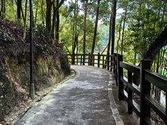 -广州市流溪河国家森林公园