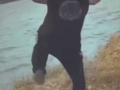 -五月古筝钢琴私塾