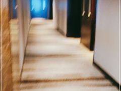 -上海龙之梦万丽酒店