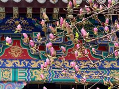 -护国法轮寺