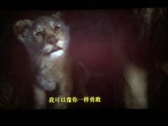 -万达影城(汉街万达广场IMAX店)