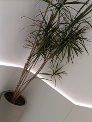 -LJOY丽锦造型·烫发染发