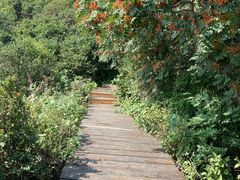 -白草畔自然风景区