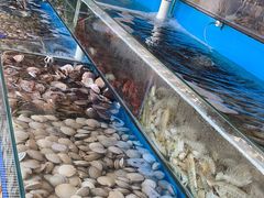 -港畔赶海蒸汽海鲜烧烤自助(仙螺岛店)