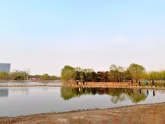 -大兴滨河森林公园