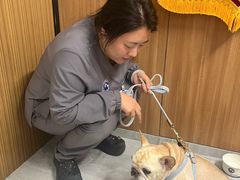 -北京派仕佳德动物医院·超导核磁·CT·神经科·骨科·内外科·急重症管理中心