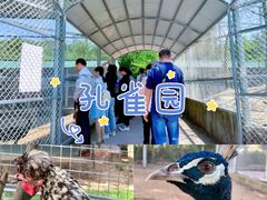 -丹樱生态园