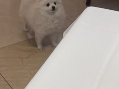 -马旺子酒楼