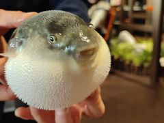 -肆月河豚·淮扬菜·湘菜(华天店)