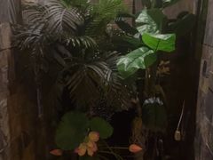 -怡泰SPA·泰疗按摩(徽宁路店)