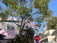 -杭州西湖风景名胜区-满觉陇四眼井